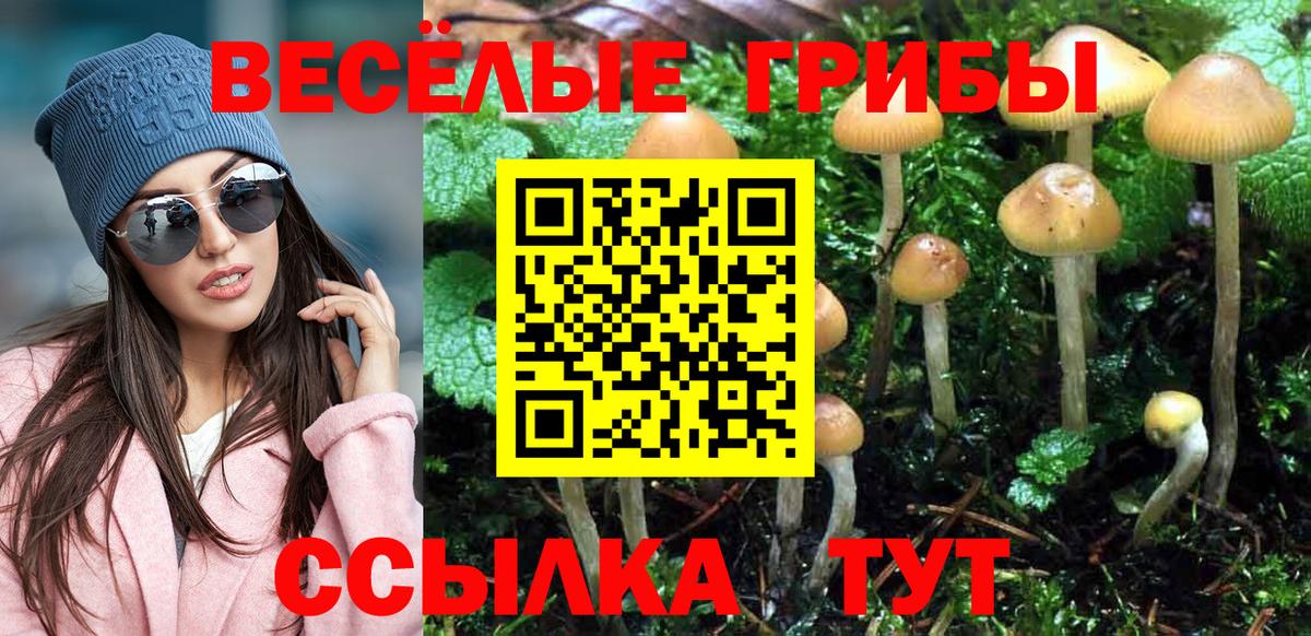 Псилоцибиновые грибы GOLDEN TEACHER  Вход с VPN  Санкт-Петербург 